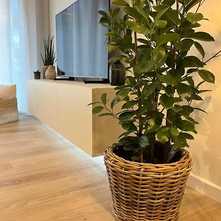 Studio-be * Nieuwpoort